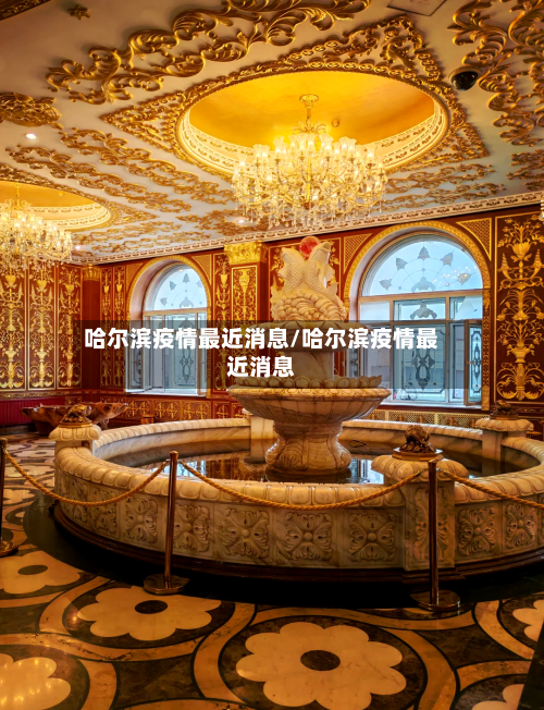 哈尔滨疫情最近消息/哈尔滨疫情最近消息