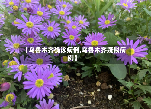 【乌鲁木齐确诊病例,乌鲁木齐疑似病例】-第3张图片