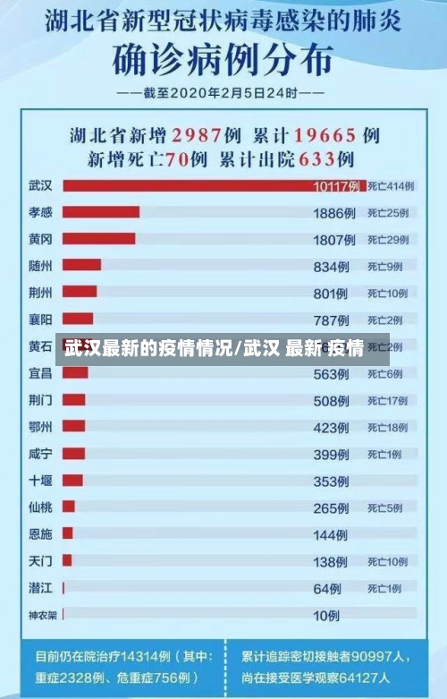 武汉最新的疫情情况/武汉 最新 疫情