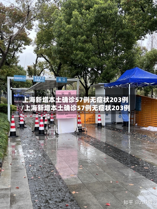 上海新增本土确诊57例无症状203例/上海新增本土确诊57例无症状203例-第2张图片