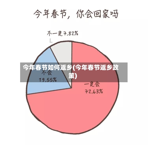 今年春节如何返乡(今年春节返乡政策)