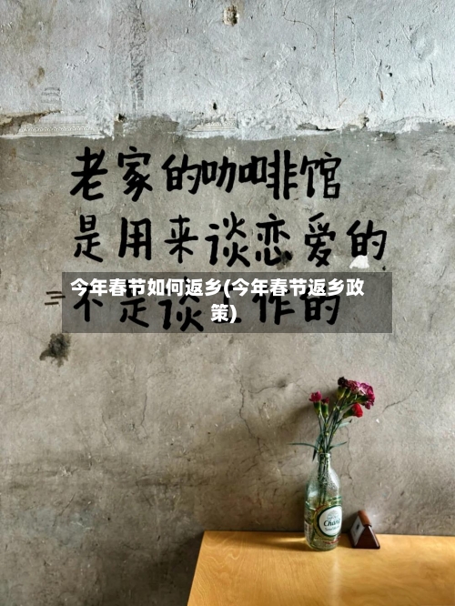今年春节如何返乡(今年春节返乡政策)-第3张图片