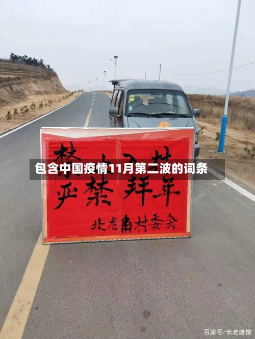 包含中国疫情11月第二波的词条