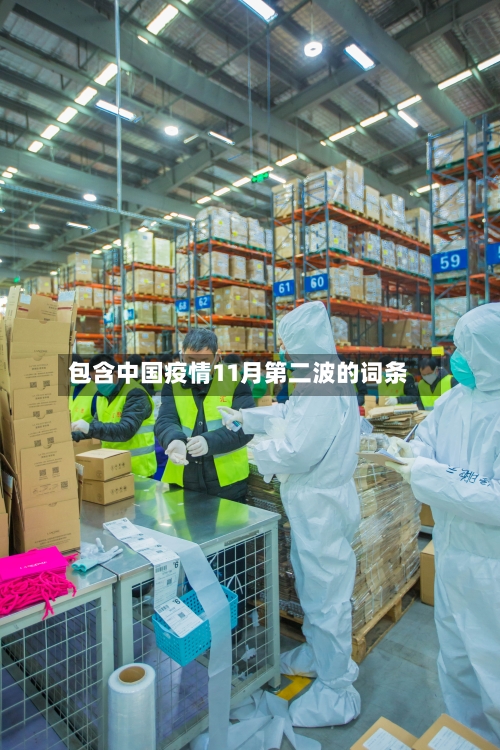 包含中国疫情11月第二波的词条-第2张图片