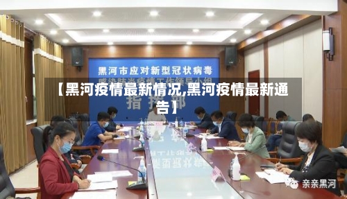 【黑河疫情最新情况,黑河疫情最新通告】-第2张图片