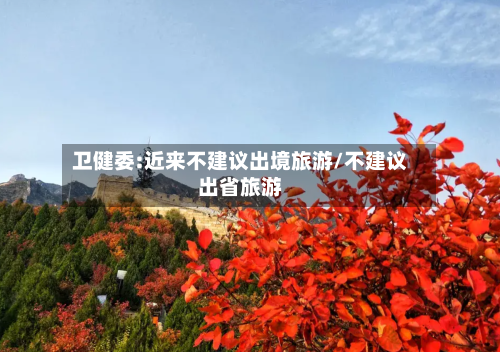卫健委:近来不建议出境旅游/不建议出省旅游
