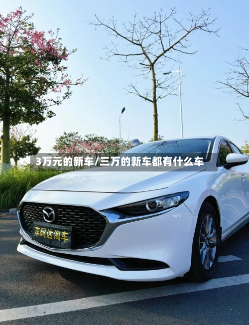 3万元的新车/三万的新车都有什么车-第2张图片