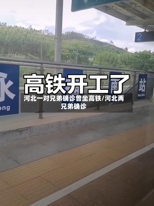 河北一对兄弟确诊曾坐高铁/河北两兄弟确诊-第3张图片