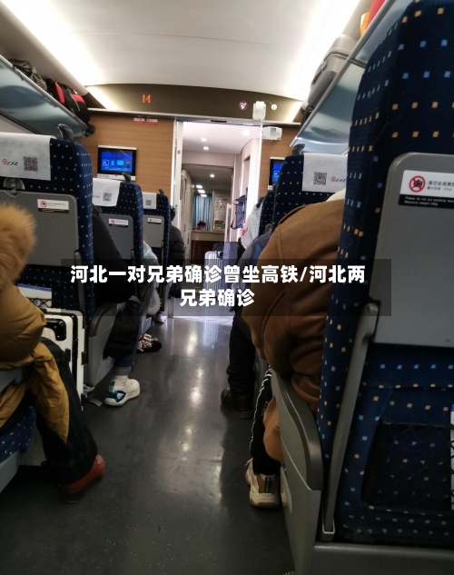 河北一对兄弟确诊曾坐高铁/河北两兄弟确诊-第2张图片