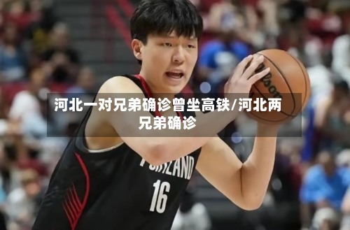 河北一对兄弟确诊曾坐高铁/河北两兄弟确诊