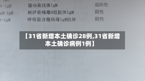 【31省新增本土确诊28例,31省新增本土确诊病例1例】-第2张图片