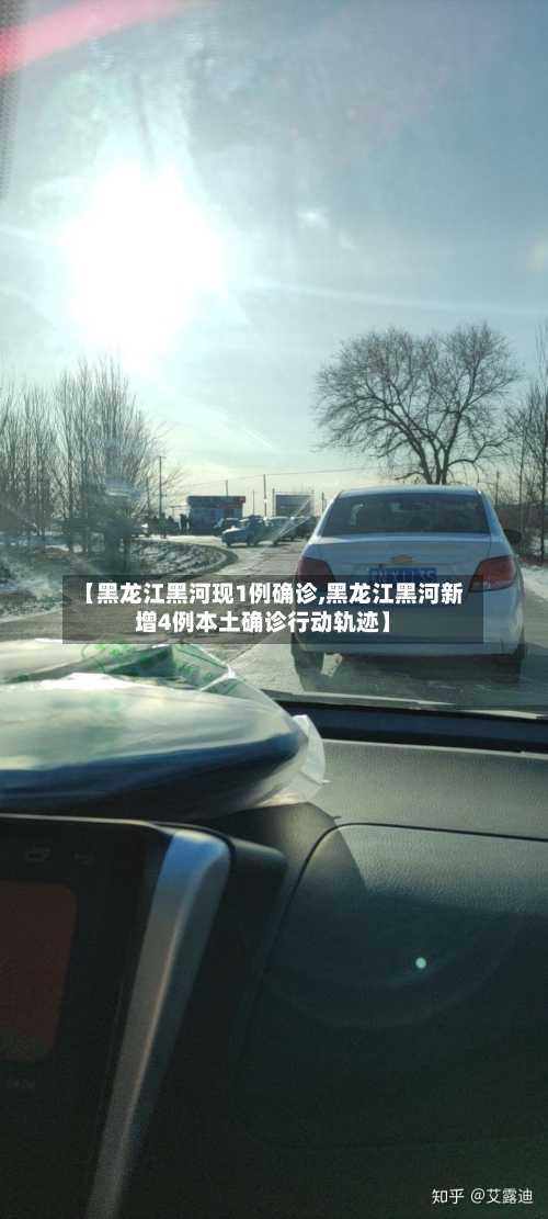 【黑龙江黑河现1例确诊,黑龙江黑河新增4例本土确诊行动轨迹】-第2张图片