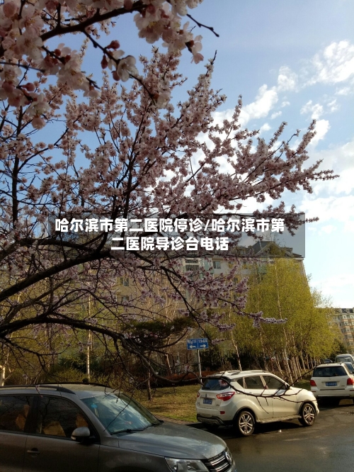 哈尔滨市第二医院停诊/哈尔滨市第二医院导诊台电话-第3张图片