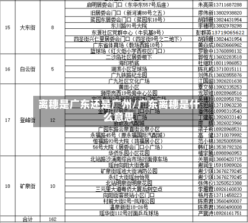 离穗是广东还是广州/广东离穗是什么意思