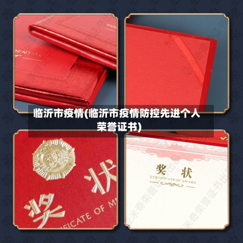 临沂市疫情(临沂市疫情防控先进个人荣誉证书)