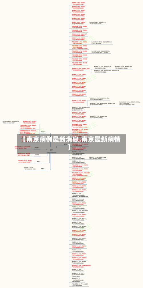【南京病例最新消息,南京最新病情】-第2张图片