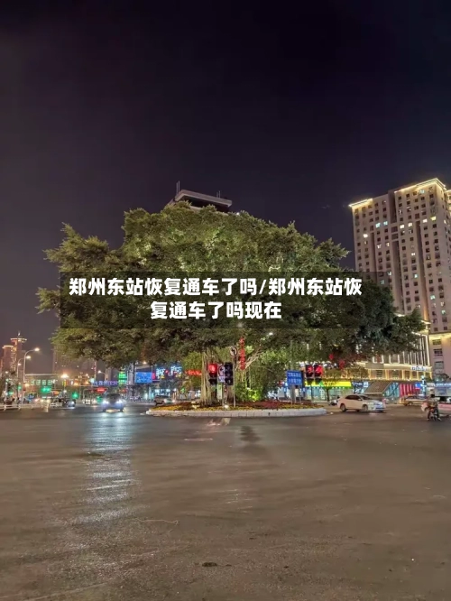 郑州东站恢复通车了吗/郑州东站恢复通车了吗现在-第2张图片