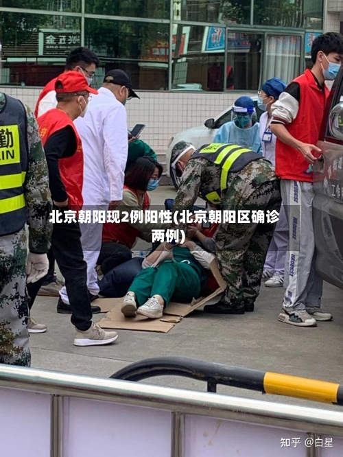 北京朝阳现2例阳性(北京朝阳区确诊两例)-第2张图片