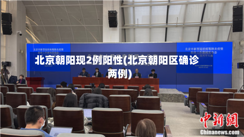 北京朝阳现2例阳性(北京朝阳区确诊两例)-第3张图片