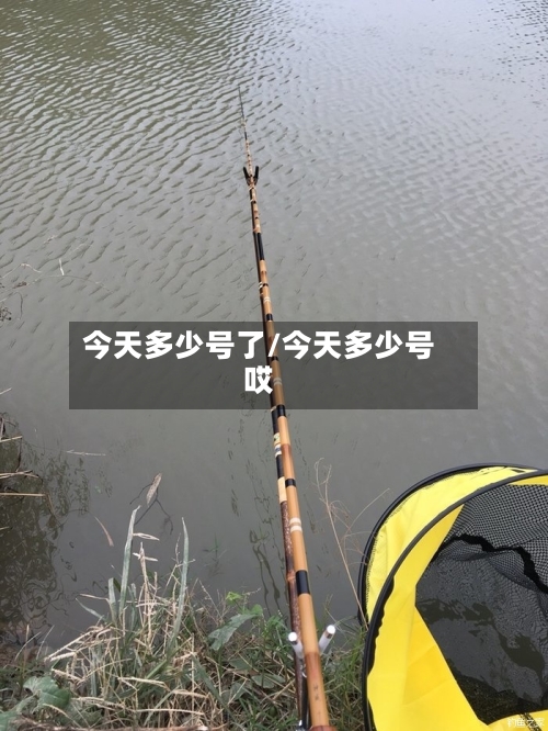 今天多少号了/今天多少号哎