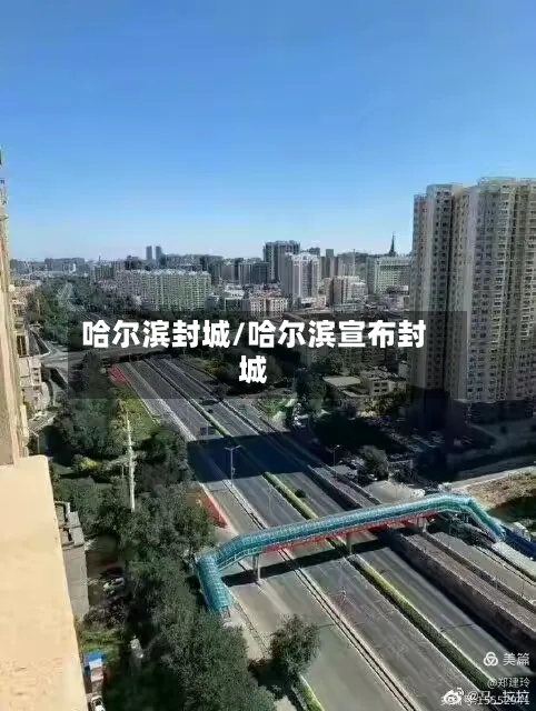 哈尔滨封城/哈尔滨宣布封城