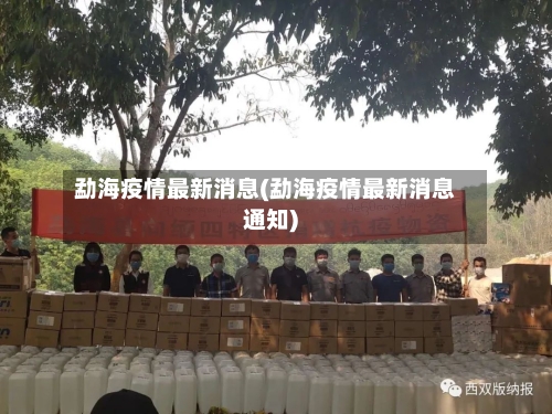 勐海疫情最新消息(勐海疫情最新消息通知)-第2张图片