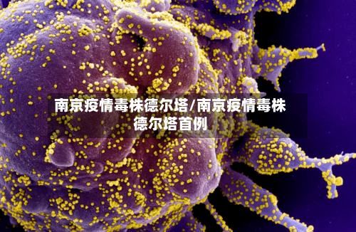 南京疫情毒株德尔塔/南京疫情毒株德尔塔首例-第3张图片