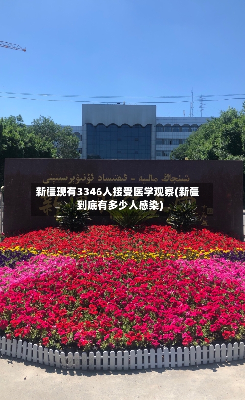 新疆现有3346人接受医学观察(新疆到底有多少人感染)-第3张图片