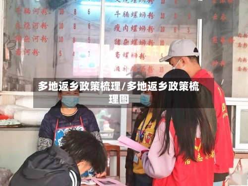 多地返乡政策梳理/多地返乡政策梳理图