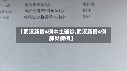 【武汉新增4例本土确诊,武汉新增4例肺炎病例】-第2张图片