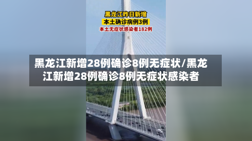 黑龙江新增28例确诊8例无症状/黑龙江新增28例确诊8例无症状感染者-第3张图片