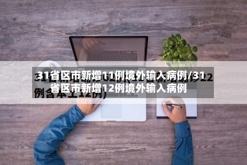 31省区市新增11例境外输入病例/31省区市新增12例境外输入病例