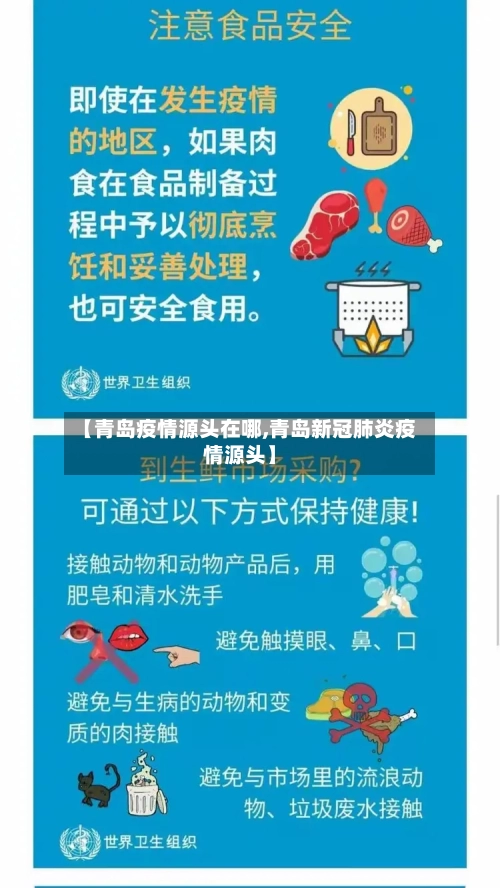 【青岛疫情源头在哪,青岛新冠肺炎疫情源头】