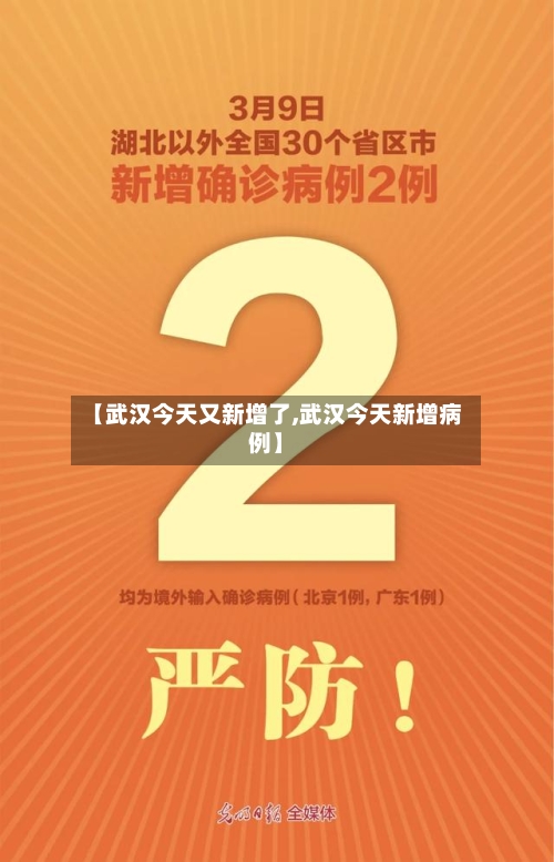【武汉今天又新增了,武汉今天新增病例】-第2张图片