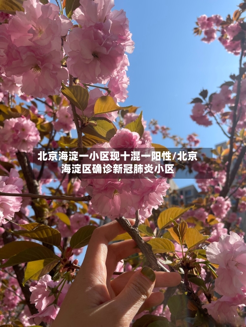北京海淀一小区现十混一阳性/北京海淀区确诊新冠肺炎小区