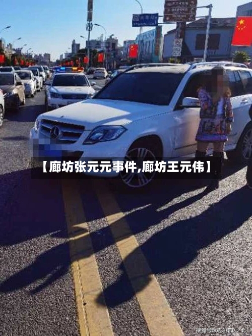 【廊坊张元元事件,廊坊王元伟】-第2张图片