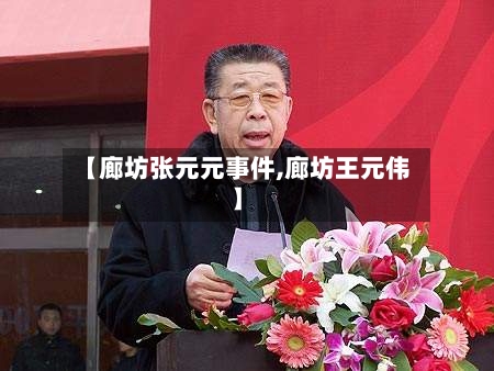 【廊坊张元元事件,廊坊王元伟】