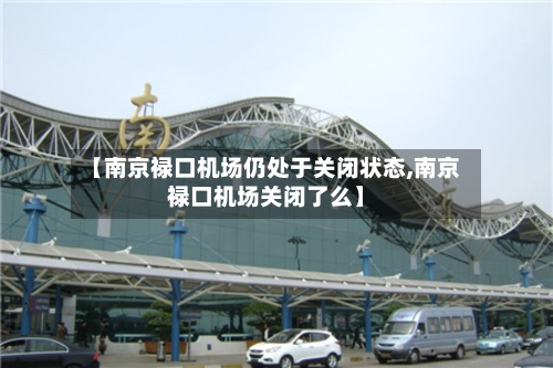 【南京禄口机场仍处于关闭状态,南京禄口机场关闭了么】-第2张图片