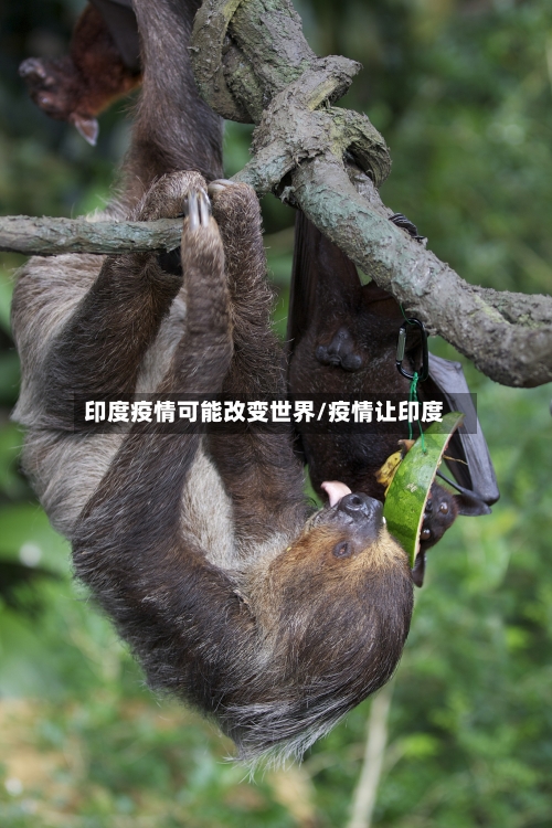 印度疫情可能改变世界/疫情让印度