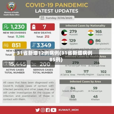 31省新增12例病例(31省新增病例85例)-第2张图片
