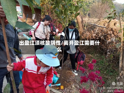 出盈江须核酸阴性/离开盈江需要什么-第2张图片