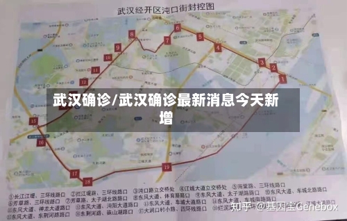 武汉确诊/武汉确诊最新消息今天新增