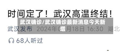 武汉确诊/武汉确诊最新消息今天新增-第2张图片