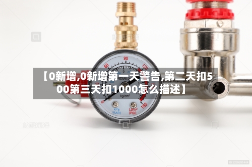 【0新增,0新增第一天警告,第二天扣500第三天扣1000怎么描述】