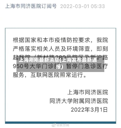 上海刚刚最新消息(上海发布最新通报)