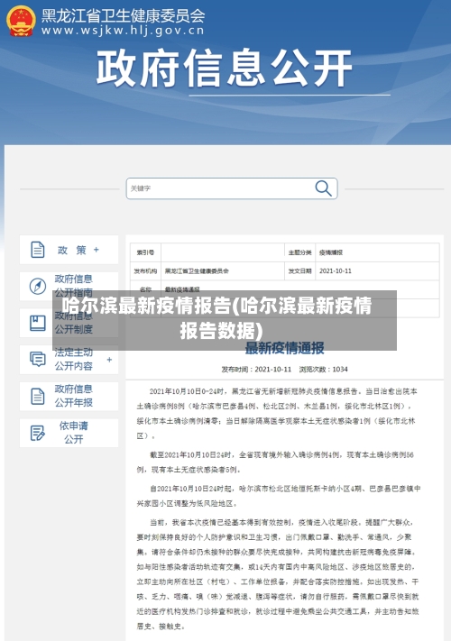 哈尔滨最新疫情报告(哈尔滨最新疫情报告数据)-第3张图片