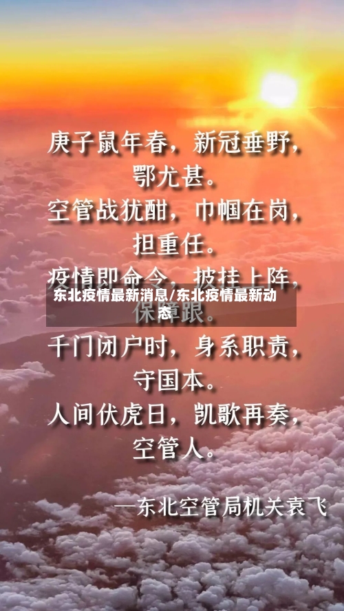 东北疫情最新消息/东北疫情最新动态-第2张图片