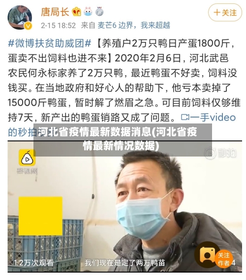 河北省疫情最新数据消息(河北省疫情最新情况数据)-第2张图片