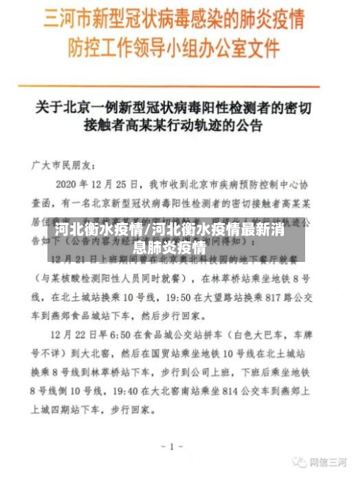 河北衡水疫情/河北衡水疫情最新消息肺炎疫情-第3张图片