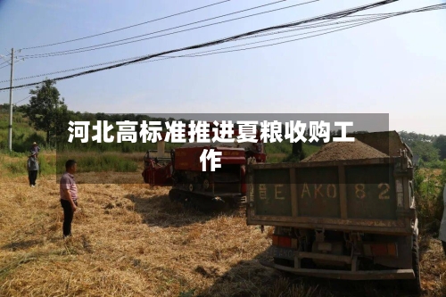 河北高标准推进夏粮收购工作
